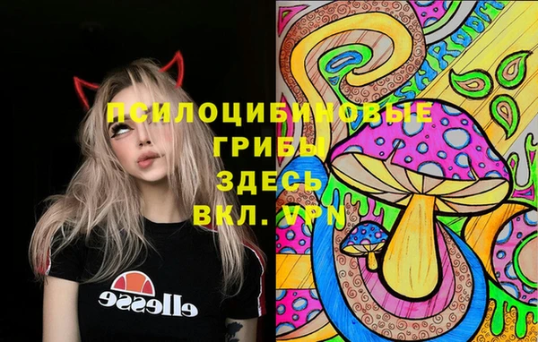 стафф Навашино